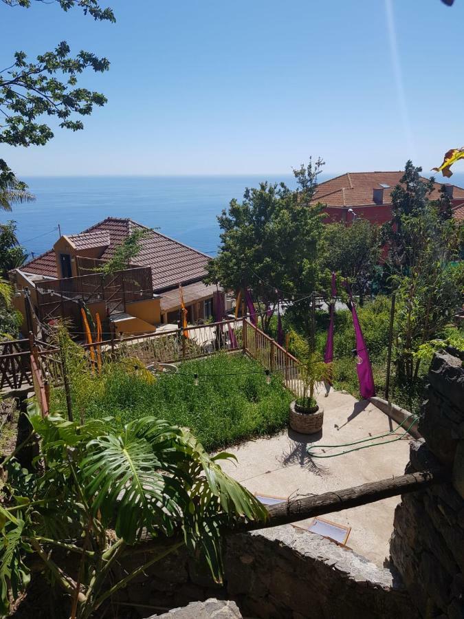 Dazk Golden Estate Hotel Ribeira Brava Kültér fotó