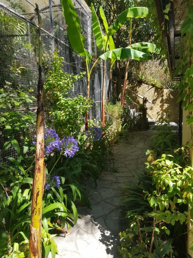 Dazk Golden Estate Hotel Ribeira Brava Kültér fotó